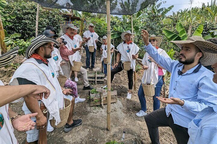 Horseback Riding Tour and Coffee Tour with Lunch and Refreshment