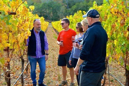 Napa Private 6-Hour Wine Adventure