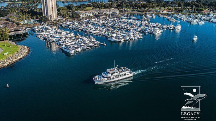 San Diego: 3 Hour Whale Watching Cruise