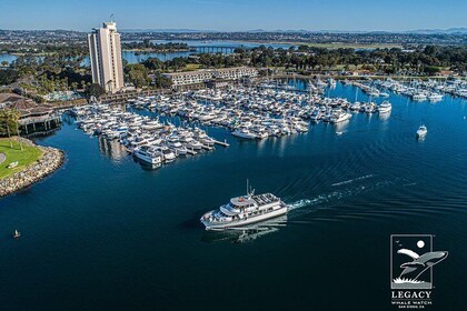 San Diego: 3 Hour Whale Watching Cruise