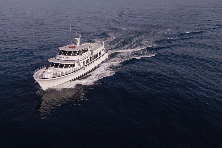 San Diego Whale Watching 3 Hour Tour Mission Bay on the Legacy