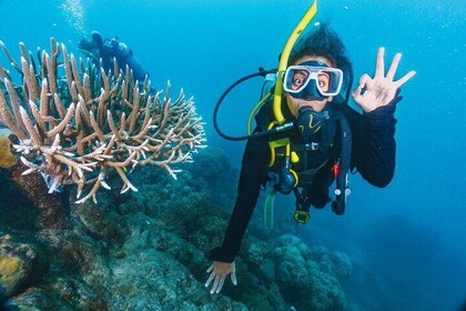 Coral Garden, Snorkelling & 1 Dive Experience & Lunch - Marsa Alam