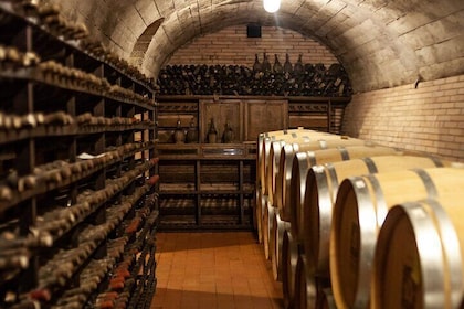 In the Heart of Chianti Classico : Wine, Winery and Tradition