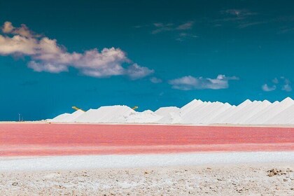 Discover and Explore the Salt Works and Slave Huts in Bonaire