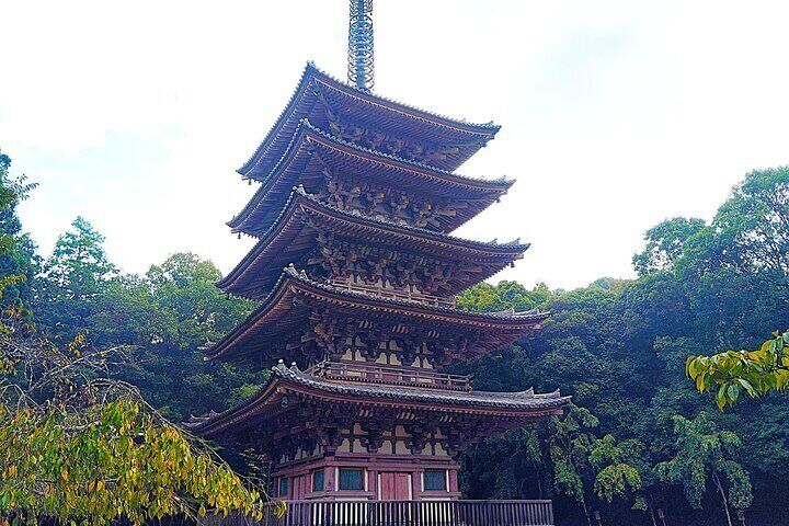 Kyoto: Daigo-ji Temple, Hidden Treasure of History & Beauty