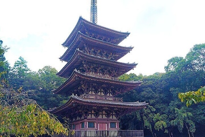 Kyoto: Daigo-ji Temple, Hidden Treasure of History & Beauty
