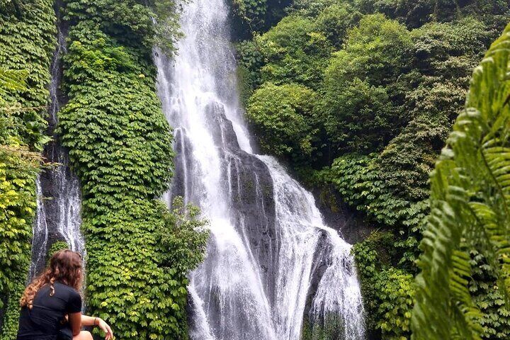 North Bali Hidden Gems Tour Ulun Danu Temple Twin Lakes Waterfall