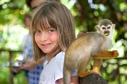 Monkeyland Adventure: A Family Day of Fun & Nature