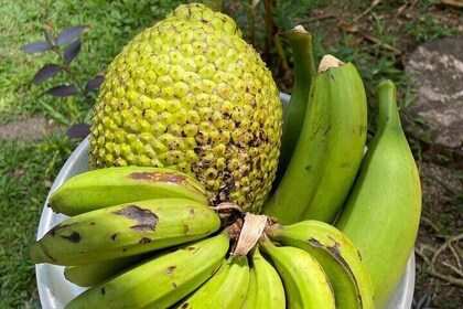 Learn to Cook Like a Caribbean in Puerto Viejo