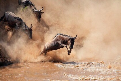 11 Days of Safari and Sun Tanzania’s National Parks and Zanzibar