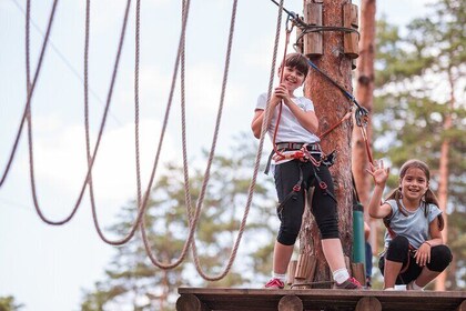 High Ropes and Adventure Tree Top Experience