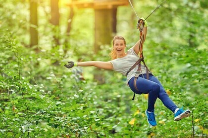 High Ropes and Adventure Tree Top Experience