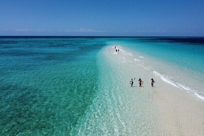 Nakupenda Getaway Swim, Snorkel & Dine with Transfers – Zanzibar