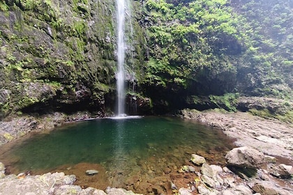 Madeira PR9 Levada do Caldeirão Verde Self Guided Santana