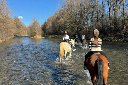 Horseback Adventure in the Forest and River - Agadir