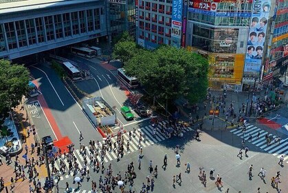 Tokyo Private Sightseeing Tour with English Speaking Driver