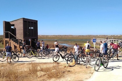 3H Passeio Guiado em Bicicleta no Parque Natural da Ria Formosa