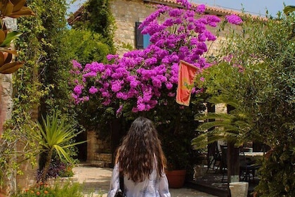 Ulcinj Womens Beach Guided Tour from Bar Montenegro