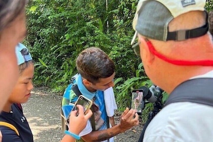 Manuel Antonio National Park Guided Tour