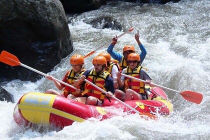 White Water Rafting Ubud Experience Include Lunch