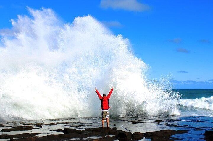 Dunedin to Te Anau via the Catlins One Way Small Group Tour