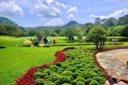 Half-Day Tour To Seethawaka Botanical Garden From Colombo