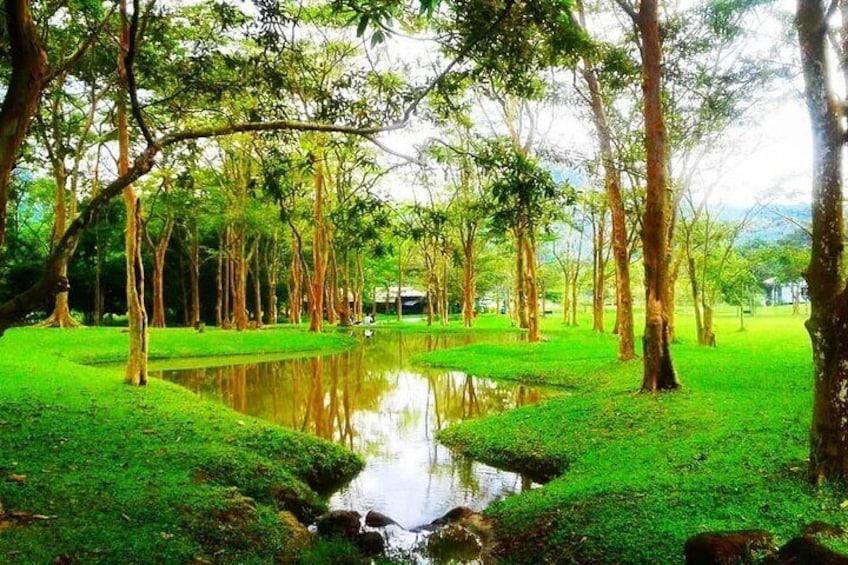 Half-Day Tour To Seethawaka Botanical Garden From Colombo