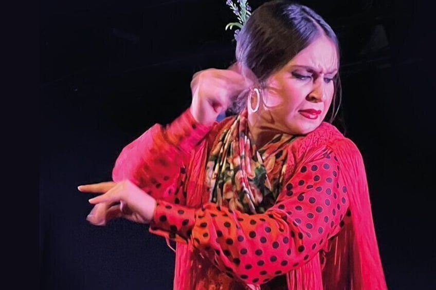 Traditional Flamenco Shows in the Heart of Granada