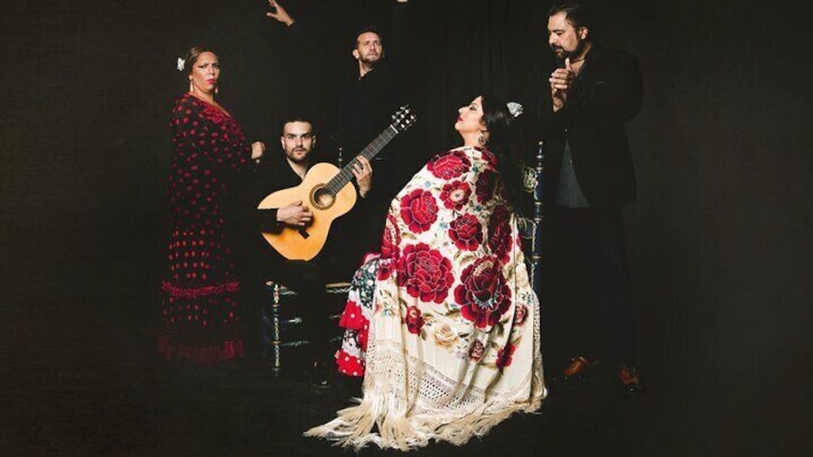 Traditional Flamenco Show at Tablao Casa Ana