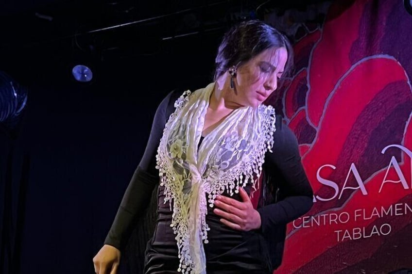 Traditional Flamenco Shows in the Heart of Granada