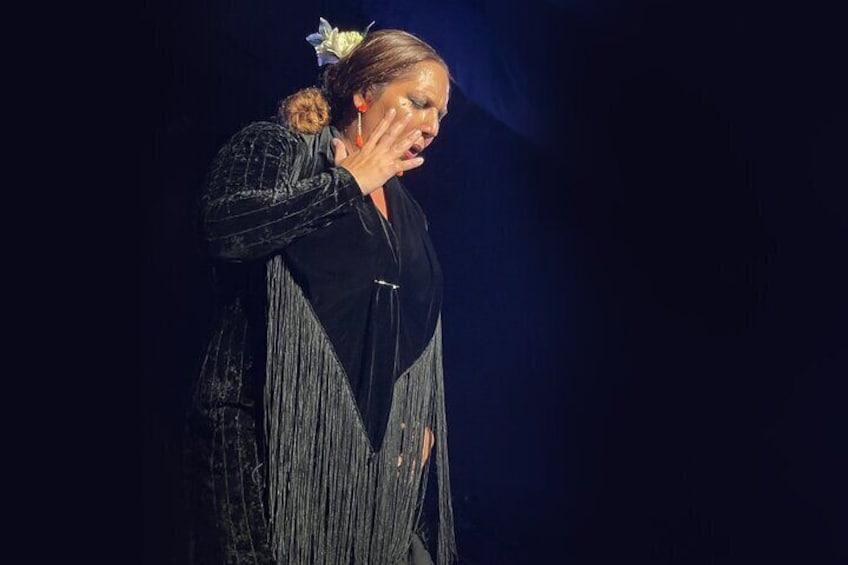 Traditional Flamenco Shows in the Heart of Granada