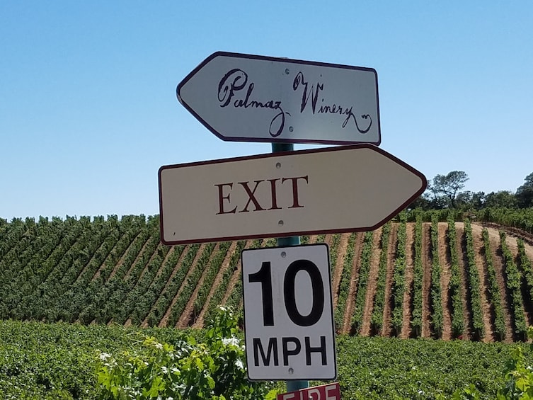 8 Hour - Private Napa Valley Wine Tasting Tour 