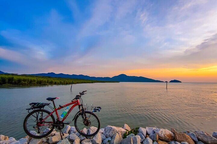 Penang Balik Pulau Countryside Morning Cycling with Transfers