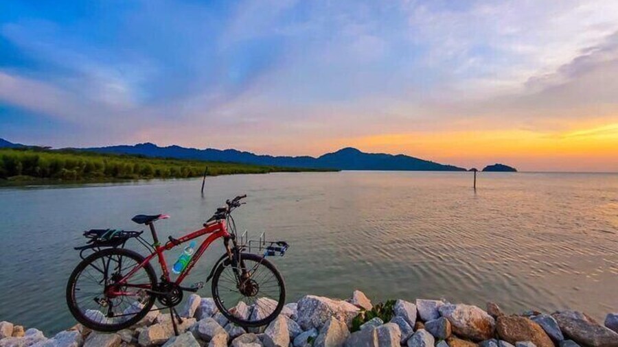 Penang Balik Pulau Countryside Morning Cycling with Transfers