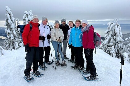 Grouse Mountain Snowshoeing Adventure with Scenic Skyride