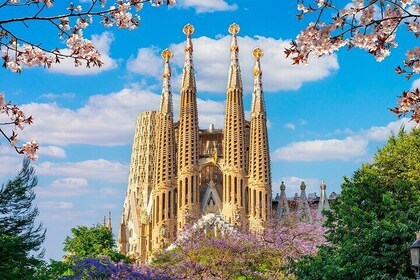 Barcelona City Pass Deluxe Top Attractions Gaudi and Culture