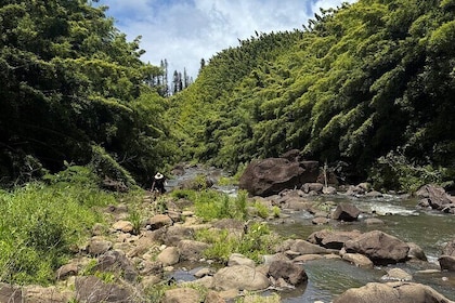 Private Instagram Tour of Maui