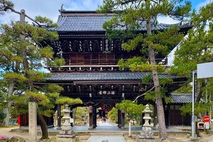 Amanohashidate Ine Funaya and Miyama Thatched Village Tour