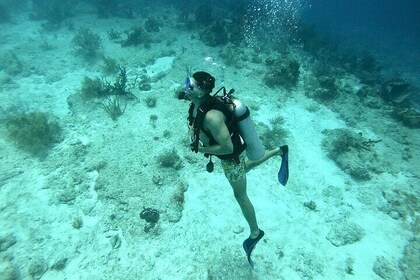Scuba Diving Adventure in Riviera Maya Small Group Experience