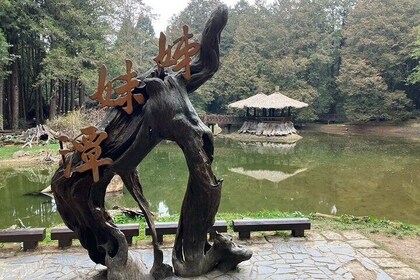 Alishan Scenic One Day guided Tour from Taichung