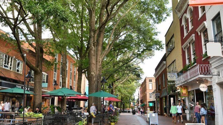 Charlottesville Scavenger Hunt Experience