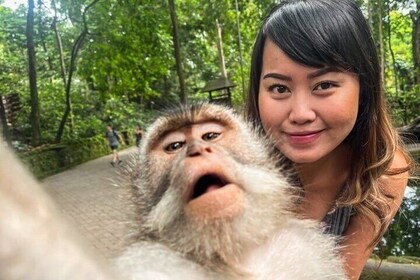 Bali quad bike Quad Bike Monkey Forest Jungle Swing with Lunch