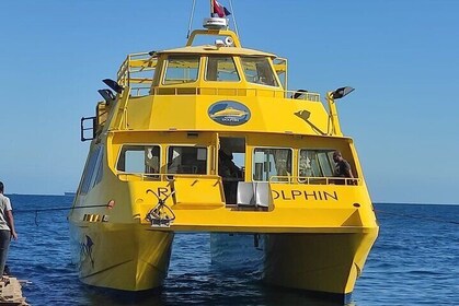 2 in 1 Hula Hula Paradise Island & Semi Submarine Tour - Hurghada