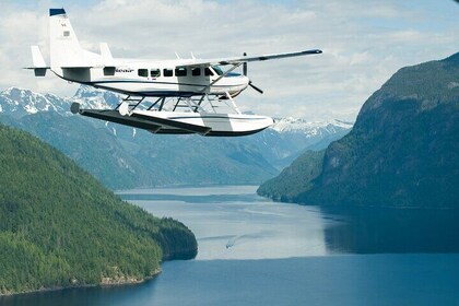 Scenic Coastal Mountain Experience by Seair Seaplanes