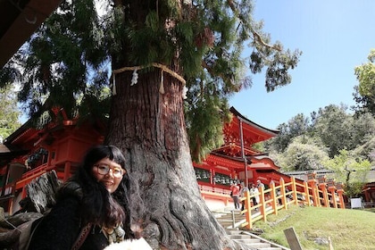 Private Full-Day Nara Tour Hozanji Temple Cable Car and Nara Park