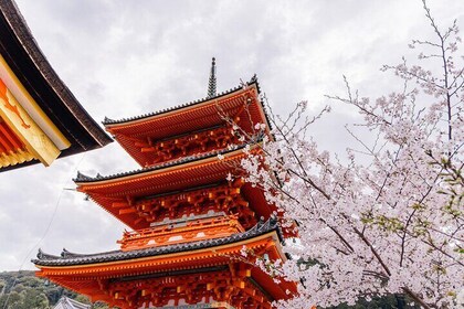 Full Day at the Top UNESCO Sites in Kyoto 360