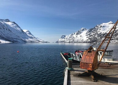 Tromsø: Private Yacht and Minivan Fjord Tour with Hot Drink