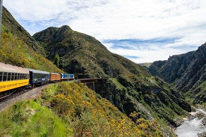 Dunedin to Queenstown One Way Including Taieri Gorge Train