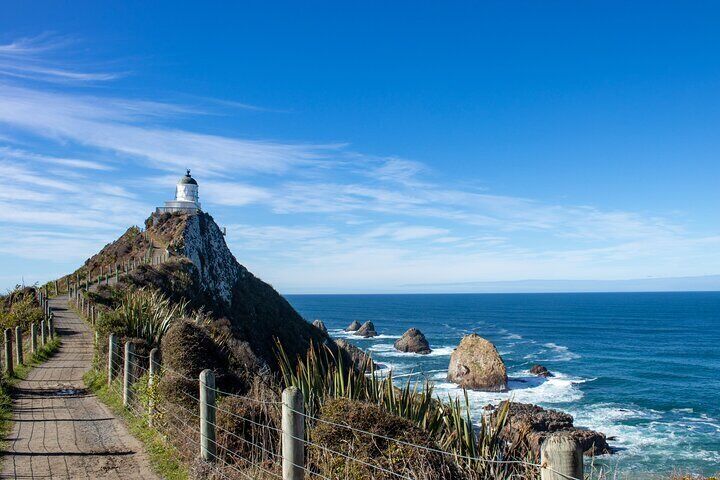 Te Anau to Dunedin Via The Catlins Small-Group Tour