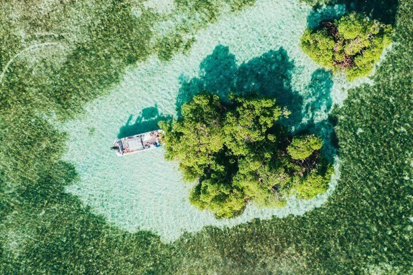 Private boat trip with guide on the most beautiful lagoon of Guadeloupe